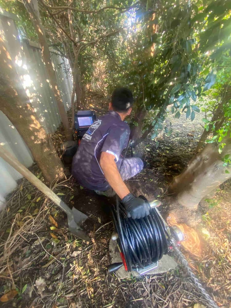 Tap Tech technician using a locator near tree roots to mark a pipe for repair